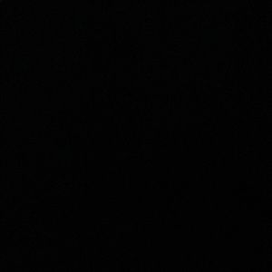 Meet your Posher, Elise